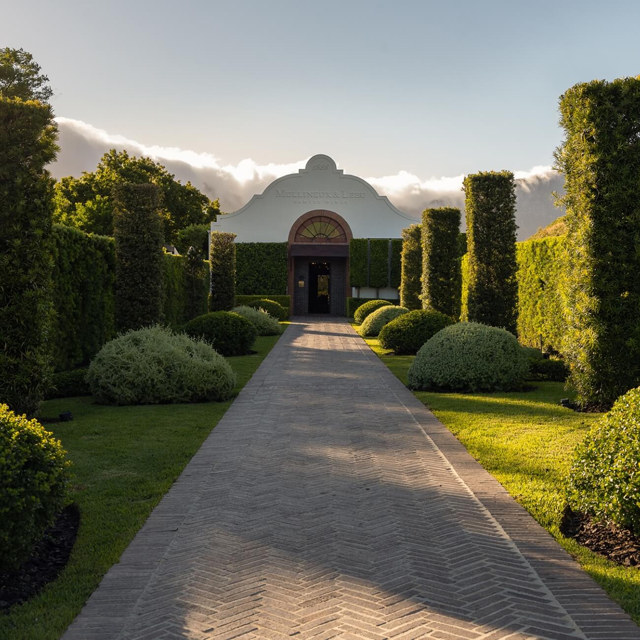 Leeu Collection South Africa Leeu Estates THE WINE STUDIO